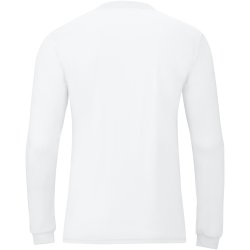 Team langrmet trje. Brn L/S